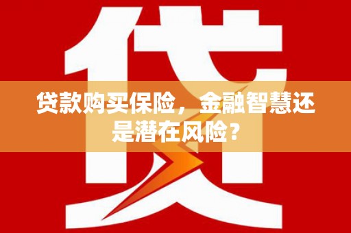 岳麓贷款购买保险，金融智慧还是潜在风险？
