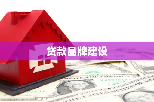 岳麓贷款品牌建设