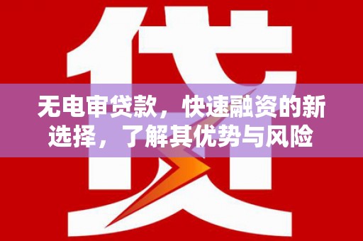 岳麓无电审贷款，快速融资的新选择，了解其优势与风险