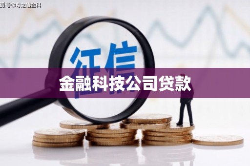 岳麓金融科技公司贷款