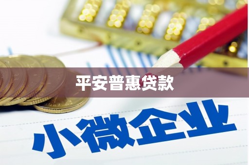 岳麓平安普惠贷款