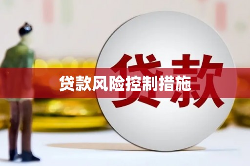 岳麓贷款风险控制措施