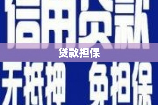 岳麓贷款担保
