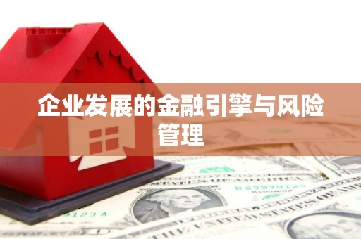 岳麓企业发展的金融引擎与风险管理