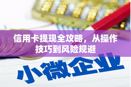 岳麓信用卡提现全攻略，从操作技巧到风险规避