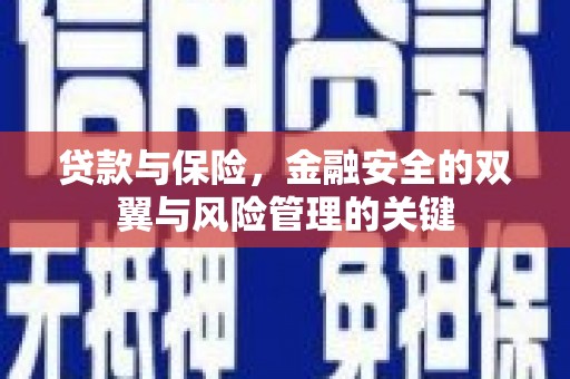 岳麓贷款与保险，金融安全的双翼与风险管理的关键
