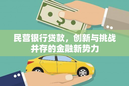 岳麓民营银行贷款，创新与挑战并存的金融新势力