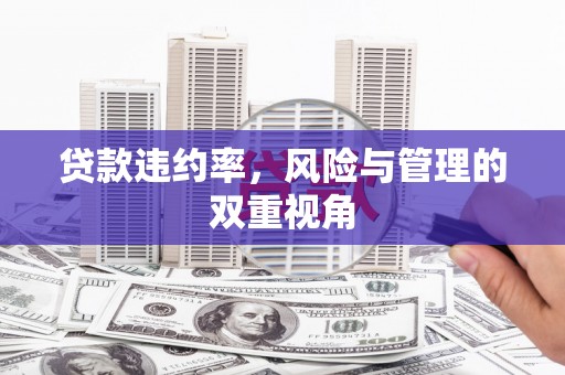 岳麓贷款违约率，风险与管理的双重视角