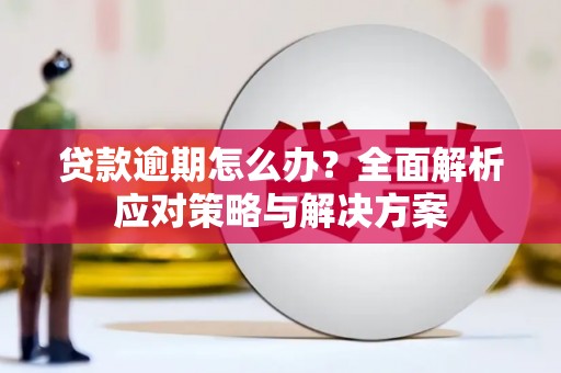 岳麓贷款逾期怎么办？全面解析应对策略与解决方案