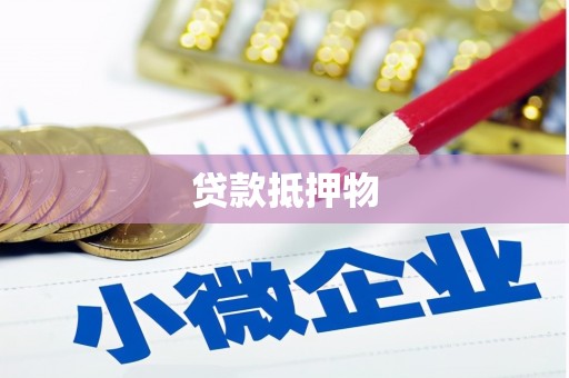岳麓贷款抵押物