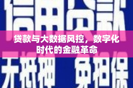 岳麓贷款与大数据风控，数字化时代的金融革命