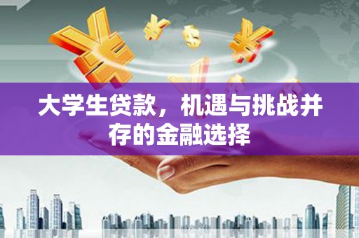 岳麓大学生贷款，机遇与挑战并存的金融选择