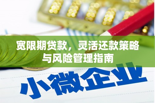 岳麓宽限期贷款，灵活还款策略与风险管理指南