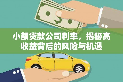 岳麓小额贷款公司利率，揭秘高收益背后的风险与机遇