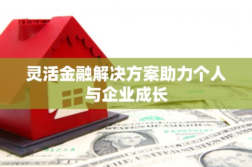 岳麓灵活金融解决方案助力个人与企业成长