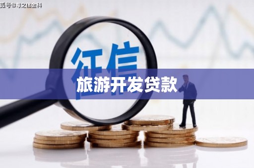 岳麓旅游开发贷款