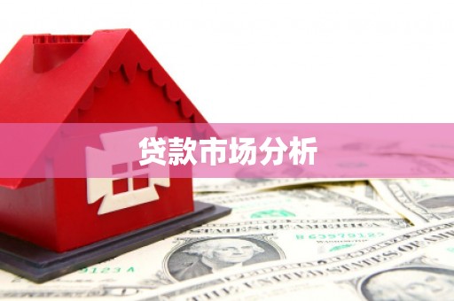 岳麓贷款市场分析
