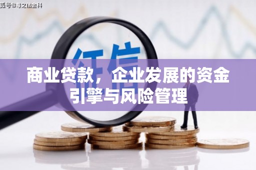 岳麓商业贷款，企业发展的资金引擎与风险管理