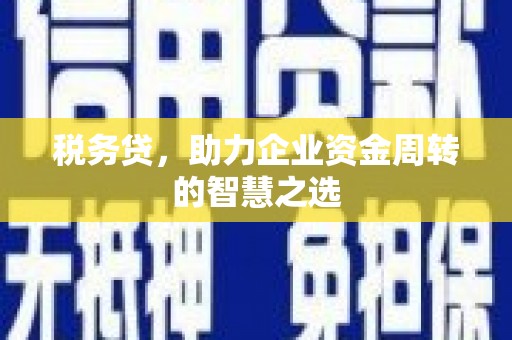 岳麓税务贷，助力企业资金周转的智慧之选