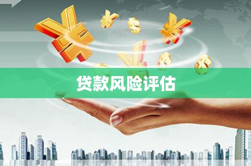 岳麓贷款风险评估