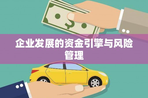 岳麓企业发展的资金引擎与风险管理