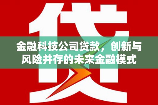 岳麓金融科技公司贷款，创新与风险并存的未来金融模式