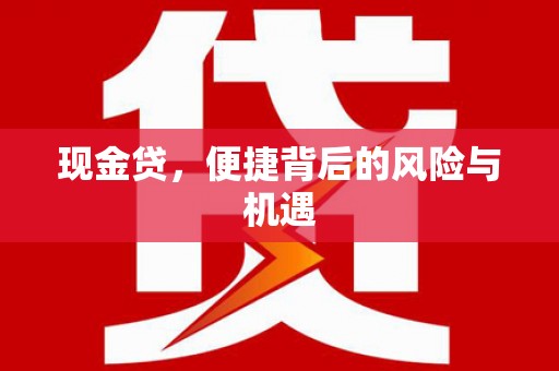 岳麓现金贷，便捷背后的风险与机遇