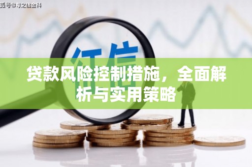 岳麓贷款风险控制措施，全面解析与实用策略