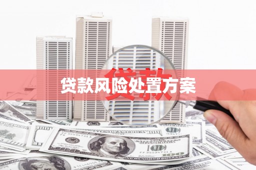 岳麓贷款风险处置方案