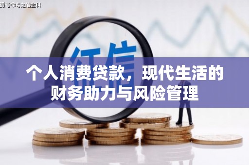 岳麓个人消费贷款，现代生活的财务助力与风险管理