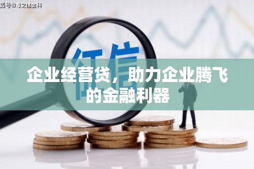 岳麓企业经营贷，助力企业腾飞的金融利器