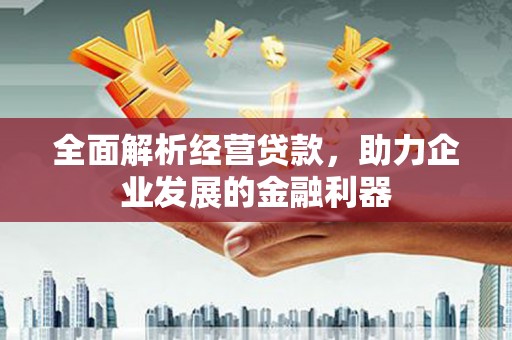 岳麓全面解析经营贷款，助力企业发展的金融利器