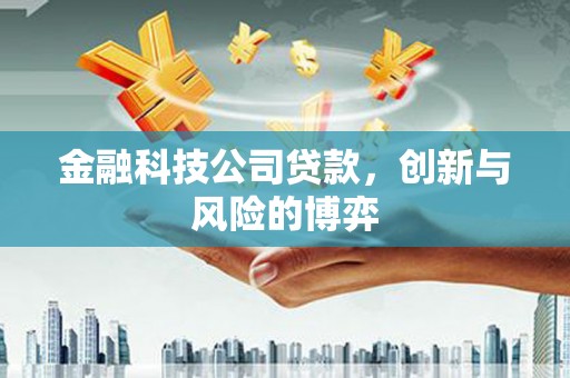 岳麓金融科技公司贷款，创新与风险的博弈