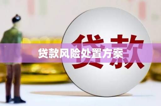 岳麓贷款风险处置方案