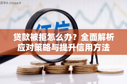 岳麓贷款被拒怎么办？全面解析应对策略与提升信用方法