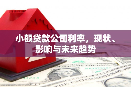 岳麓小额贷款公司利率，现状、影响与未来趋势