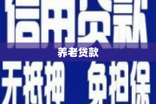 岳麓养老贷款