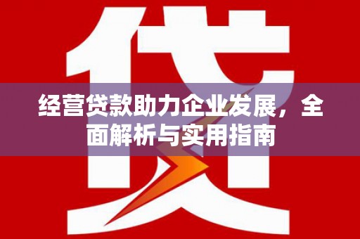 岳麓经营贷款助力企业发展，全面解析与实用指南