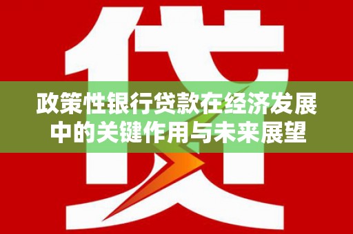 岳麓政策性银行贷款在经济发展中的关键作用与未来展望