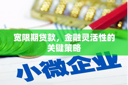岳麓宽限期贷款，金融灵活性的关键策略