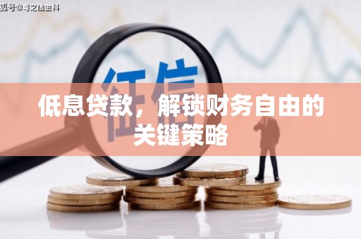 岳麓低息贷款，解锁财务自由的关键策略
