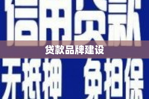 岳麓贷款品牌建设