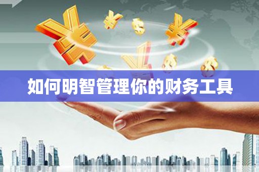岳麓如何明智管理你的财务工具