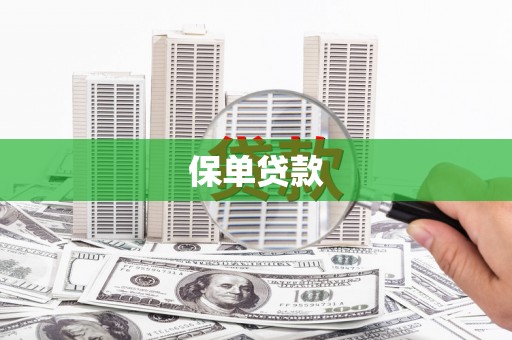 岳麓保单贷款