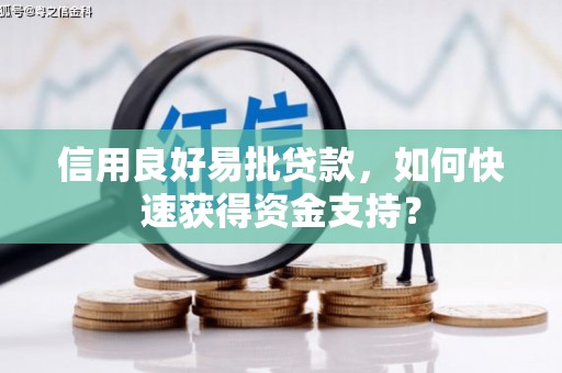 岳麓信用良好易批贷款，如何快速获得资金支持？