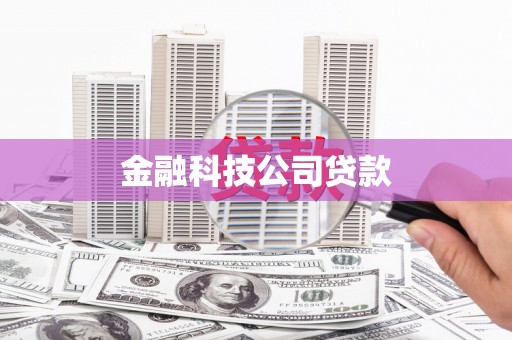 岳麓金融科技公司贷款