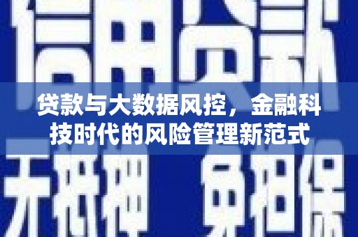 岳麓贷款与大数据风控，金融科技时代的风险管理新范式