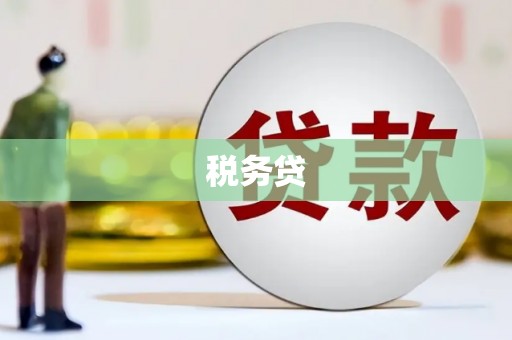 岳麓税务贷