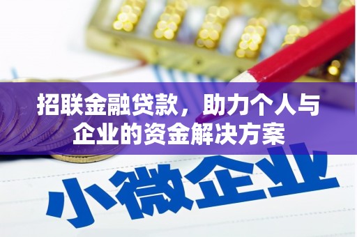 岳麓招联金融贷款，助力个人与企业的资金解决方案