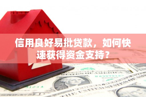 岳麓信用良好易批贷款，如何快速获得资金支持？